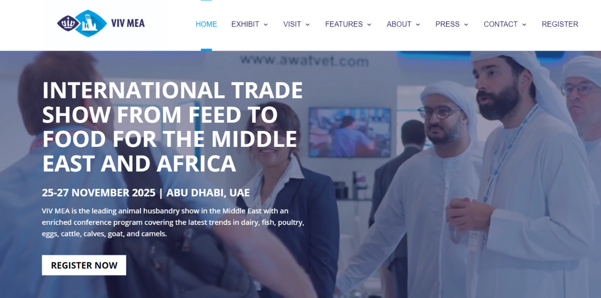 Siyah Modern Ocak Ayı Masaüstü Duvar Kağıdı (4)